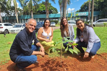 HDT recebe doação de mudas de Ipê e reforça compromisso com a sustentabilidade